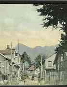 Nysted Moi